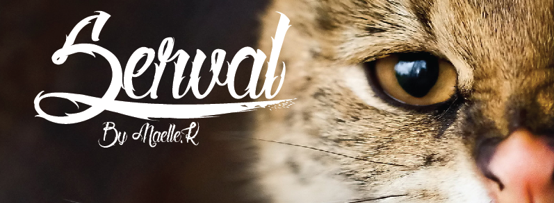 Serval